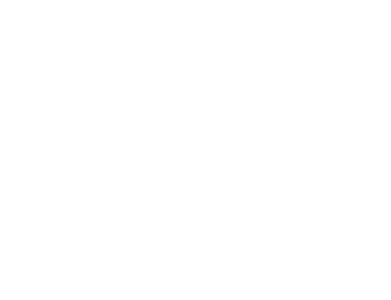 Landauer Groups webbplats ➝