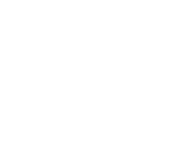W5 Solutions webbplats ➝